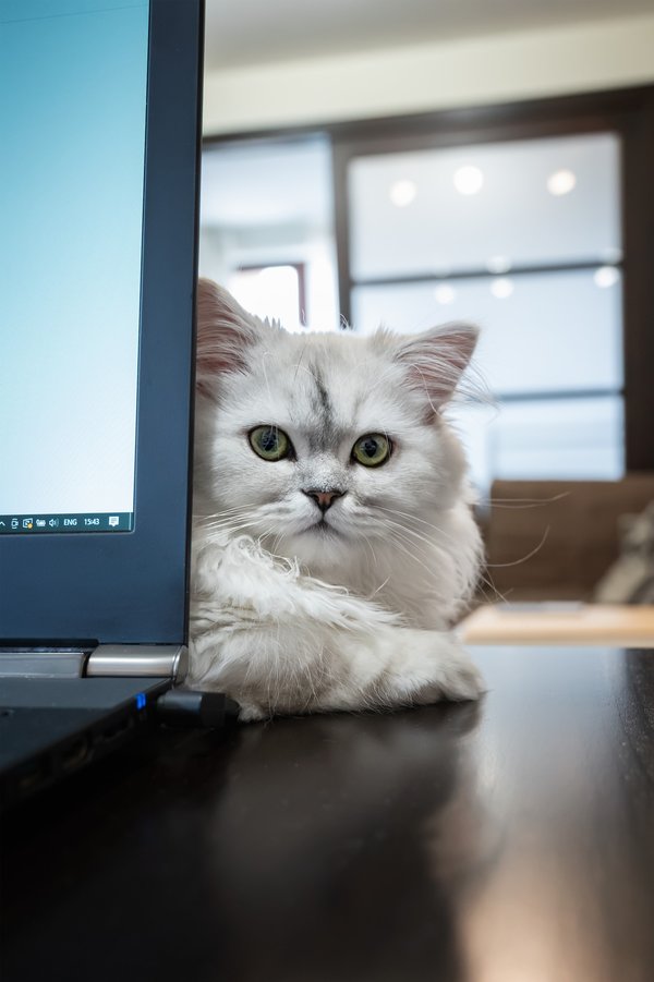 Comment réaliser un cat eye parfait pour des yeux en amande?