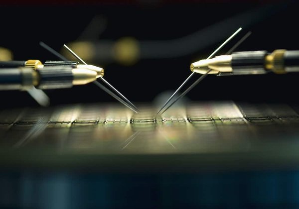 Quelles sont les micro-habitudes à adopter pour un mode de vie plus durable?