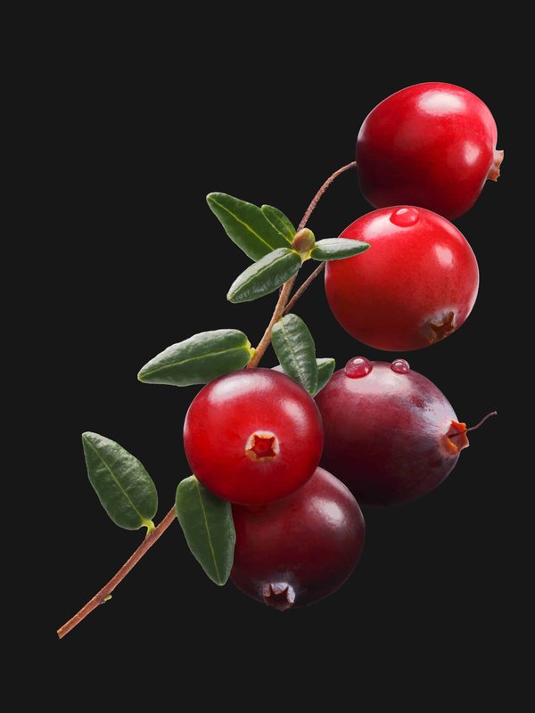 Quelle est la méthode pour superposer des bracelets fins avec une montre habillée?